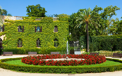 De l’aula al jardí: una introducció als arbres de Barcelona